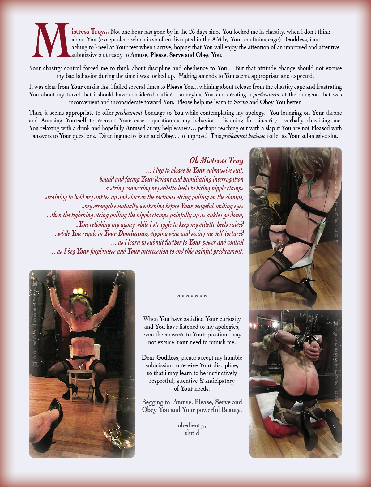 Mistress Troy Dominatrix NYC BDSM Story Plea and Apology from a slut photo